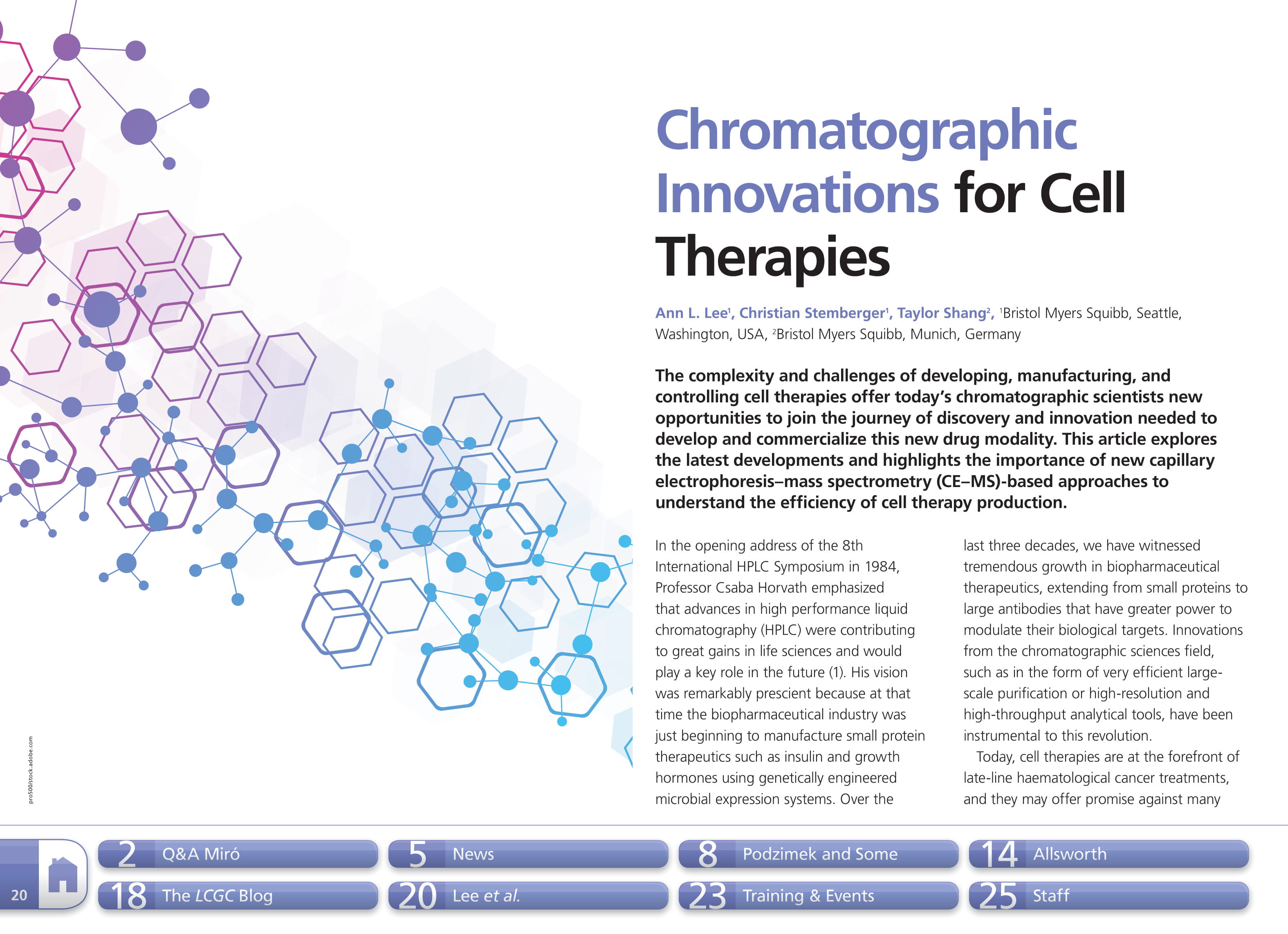 Chromatographic Innovations for Cell Therapies  